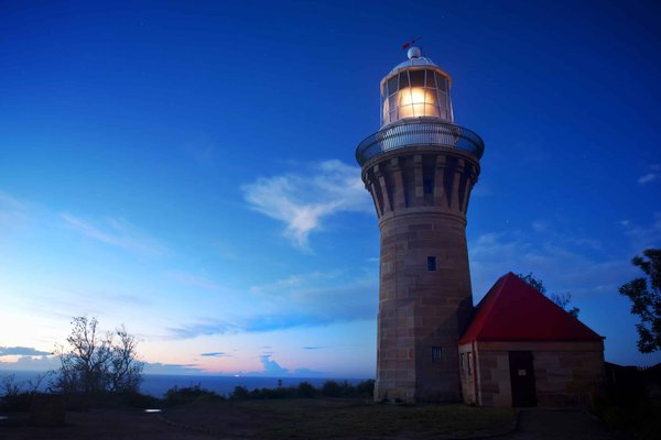 Sélectionner la meilleure chaîne pour votre tronçonneuse : guide pratique