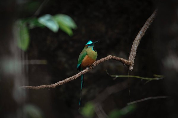 les erreurs à éviter lors de travaux d'aménagement de combles