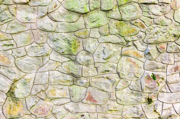 Parement en pierre néominéral : conseils pour assurer son entretien