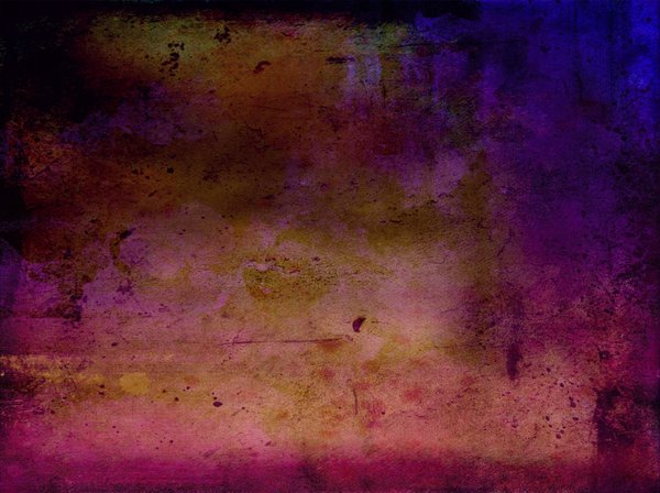 Quelles sont les meilleures plantes pour un jardin d'ombre ?