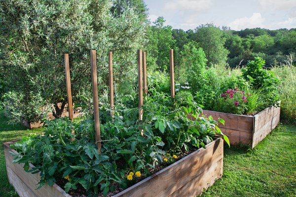 Éveillez votre jardin avec un carré potager en permaculture